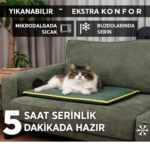 Kedi yatağı