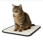 Oumo 80x45 cm Ortopedik Kedi Yatağı