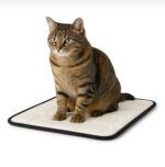 Oumo 80x45 cm Ortopedik Kedi Yatağı